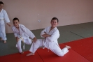 podlesice-36